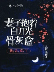 妻子抱着白月光骨灰盒，我杀疯了